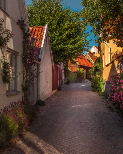 Kryssning Visby