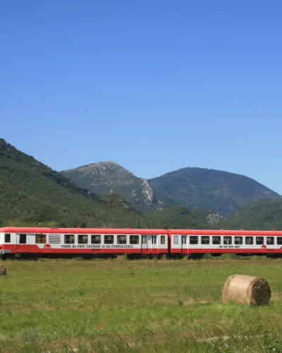 Pyreneene