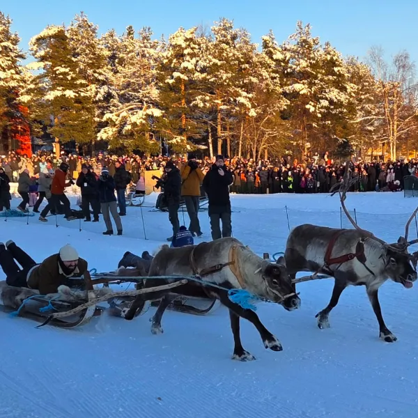 Till Jokkmokks vintermarknad som ensamresenär