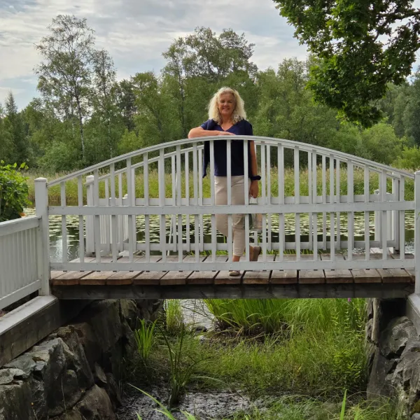 Fjordar, fjäll och dalar genom Norge och Sverige 